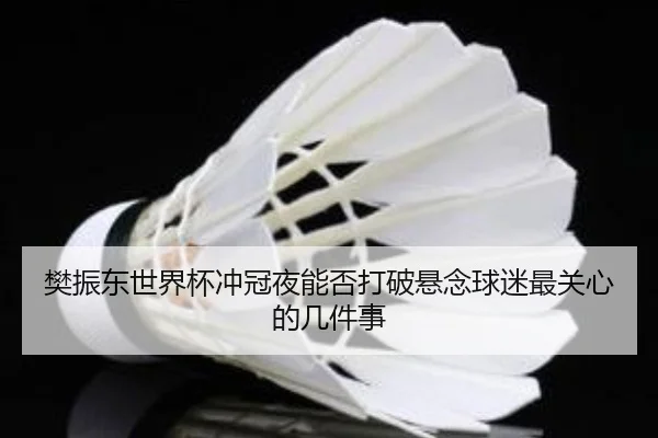 樊振东世界杯冲冠夜能否打破悬念球迷最关心的几件事